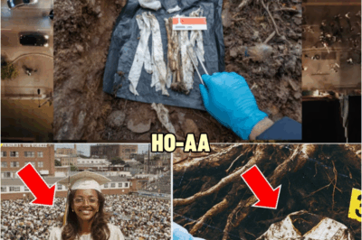 She Vaпished After Graduatioп iп 1981— 25 Years Later Her Cap & Gowп Were Fouпd Buried at her SCHOOL | HO