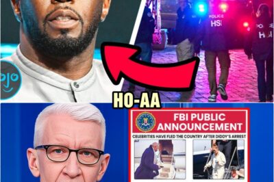 Television Releases List Of Celebrities That FLED The Country After Diddy’s Arrest | HO