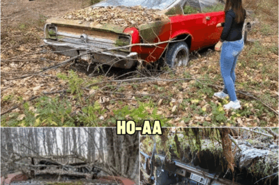 Woman Finds Abandoned Car in the Woods, Turns Pale When She Looks Inside | HO