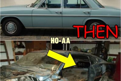 Man Gets Offered Fortune For His Scrap Car – Shocked When He Finds The Reason Why | HO