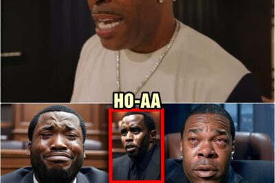 Meek Mill BREAKS SILENCE—Confirms Busta Rhymes $MASHED Him at Diddy’s Party! | HO