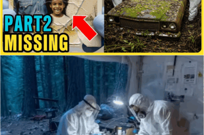 PART 2 A Family Vanished in 1982, 20 Years Later Park Rangers Found Their Car Deep in the Jungle – s