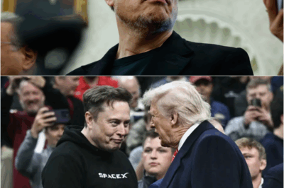Musk called Trump Monday night before expressing regret for harshest criticism of the president – S