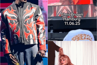 𝗩𝗜𝗗𝗘𝗢:’This is low-key harassment!’ Chris Brown is accused of performing a ‘s3x show’ with female concert goers as he grinds on them and KISSES one in shock scenes on tour after arrest👀 – S