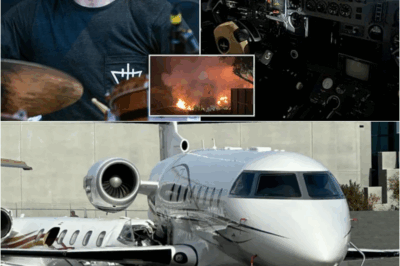 Terrifying cause of private jet crash that killed beloved former rock star and music producer revealed – s
