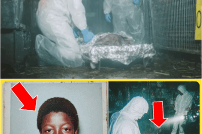 A Black Boy Vanished in 1991 — 10 Years Later, Police Raided a Circus & Found a Locked Cage – s