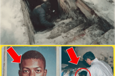 A Teen Went Missing in 1982 — 11 Years Later, He Was Found in a Secret Room Beneath a Butcher Shop – S