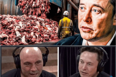 Elon Musk: “I’ll Show You 15 Products You’ll Stop Buying After You Know What They’re Made Of” – S