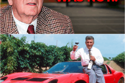 Before He Died, Enzo Ferrari FINALLY Breaks His Silence on Ferruccio Lamborghini – The Truth That Shocked the Supercar World! – S
