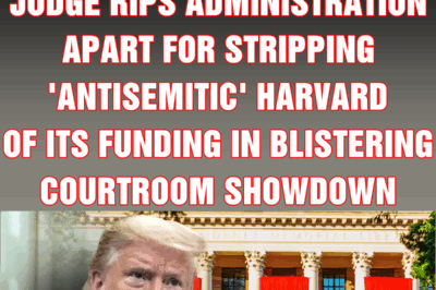 Trump rages as Jewish judge rips administration apart for stripping ‘antisemitic’ Harvard of its funding in blistering courtroom showdown
