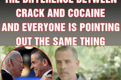 Hunter Biden explains the difference between crack and cocaine and everyone is pointing out the same thing