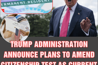 Trump administration announce plans to amend citizenship test as current one is ‘too easy’