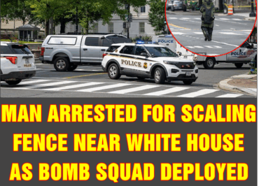 Man arrested for scaling fence near White House as bomb squad deployed amid protests