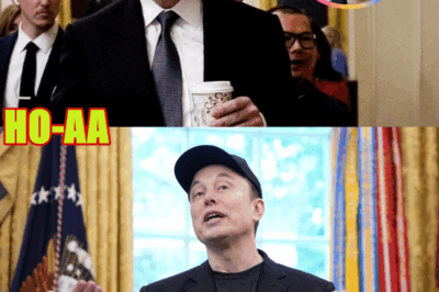 Tensions Explode as Elon Musk Taunts Donald Trump with the Launch of His America Party