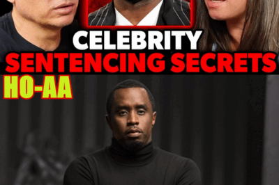 WILL DIDDY GO FREE!? | SDNY Probation Officer Reveals Truth About Celebrity Sentencing