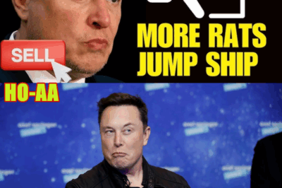 Tesla Will BANKRUPT Elon Musk as Another Exec LEAVES