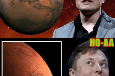 Elon Musk’s Survival of Global Nuclear War and Alien Rescue to Rebuild Humanity Has Just Been Exposed — Shocking Details Inside