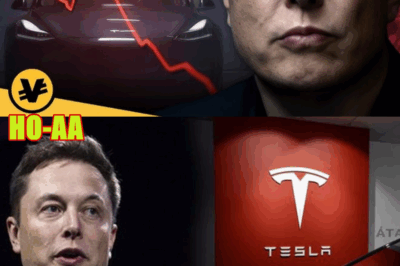 TESLA’S Elon Musk Makes MAJOR Announcements