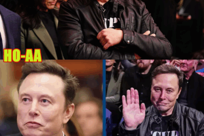 Elon Musk Secures Government Deal | Palantir Hits Record High