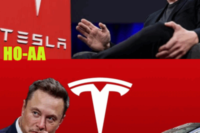 Tesla Chief Elon Musk Warns of “Few Rough Quarters” After Profit Plunge