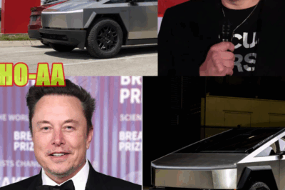 Tesla Sales Plunge Once Again Amid Elon Musk’s Political Moves