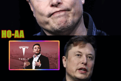 Elon Musk DESTROYS His Own Company As Tesla Tech Decision Tanks Robotaxi Plans
