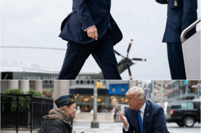 Trump Approaches Homeless Veteran Woman—What He Does Next Shocks Everyone – S