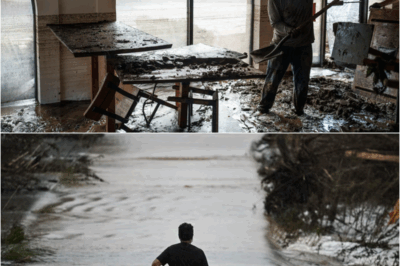 This is the summer of flooding across the US, and scientists know why – S