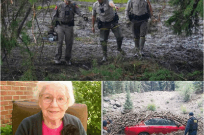 Retired Ohio Teacher Vanished From Home—Eight Months Later, A Logging Crew Uncovers the Sinister Truth – S