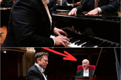 Elon Musk Mocked by a World-Famous Pianist—But When Elon Played, He Silenced the World – S