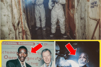 He Discovered a Possible Cancer Cure, Then Vanished in 1988 — 10 Years Later, He Was Found in a Vault – S