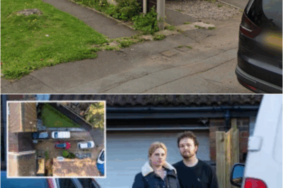 I agreed to move my fence for neighbour – I was gobsmacked when I saw what they did – S