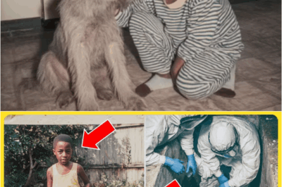 He Was 8 When He Vanished in 1983 — 16 Years Later, They Found Him Barely Alive Inside a Concrete Box – S