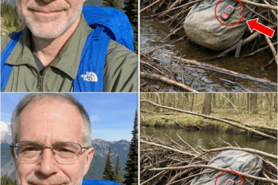 Retired Doctor Vanished from Mount Rainier—Four Years Later, a Shocking Discovery in a Beaver Dam – S