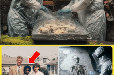 She Was Adopted at 9 & Then Vanished in 1989 — 31 Years Later, Her 𝙱𝚘𝚍𝚢 Was Found Cemented – S