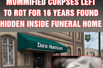 Horror as dozens of mummified corpses left to rot for 16 YEARS found hidden inside funeral home