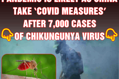 Expert reveals if another pandemic is likely as China take ‘COVID measures’ after 7,000 cases of chikungunya virus