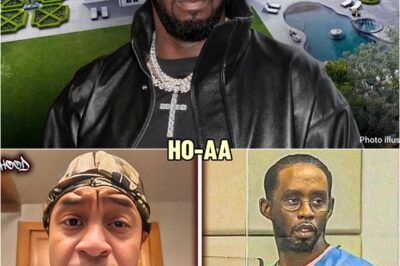Orlando Brown Leaks Who Got Infected At Diddy’s Mansion | HO