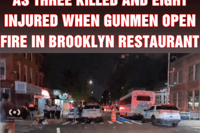 New York mass shooting as three killed and eight injured when gunmen open fire in Brooklyn restaurant