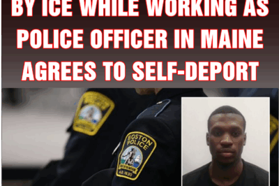 Illegal migrant arrested by ICE while working as police officer in Maine agrees to self-deport