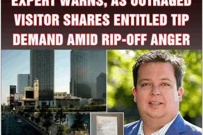 Las Vegas really IS in freefall, expert warns, as outraged visitor shares entitled tip demand amid rip-off anger