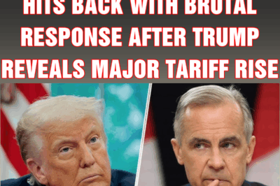 Canadian prime minister hits back with brutal response after Trump reveals major tariff rise