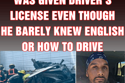 Killer migrant trucker was given driver’s license even though he barely knew English or how to drive