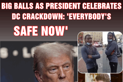 Biden judge sticks it to Trump by releasing teens who assaulted Big Balls as president celebrates DC crackdown: ‘Everybody’s safe now’