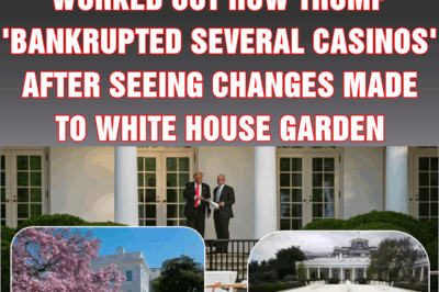 People think they’ve worked out how Trump ‘bankrupted several casinos’ after seeing changes made to White House garden