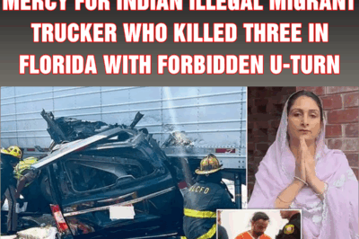 Millions sign petition demanding MERCY for Indian illegal migrant trucker who killed three in Florida with forbidden U-turn
