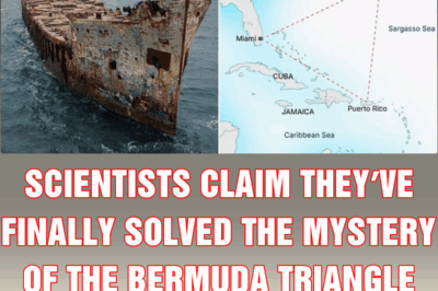 Scientists claim they’ve finally solved the mystery of the Bermuda Triangle with shocking theory
