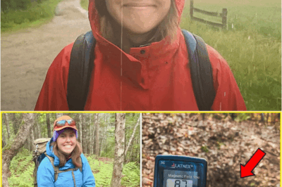 Hiker Vanished in Appalachians, 6 Years Later Explorers Pick Up a Strange Signal Near Cave… – S