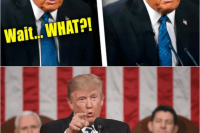 Total Meltdown: Trump’s Bizarre Newsmax Interview Leaves Interviewer Stunned – S