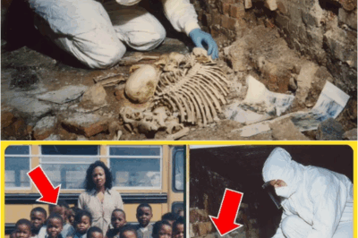 An Entire Classroom Vanished in 1994 — Six Years Later, A Hidden Room Was Found Beneath the School Hall – S